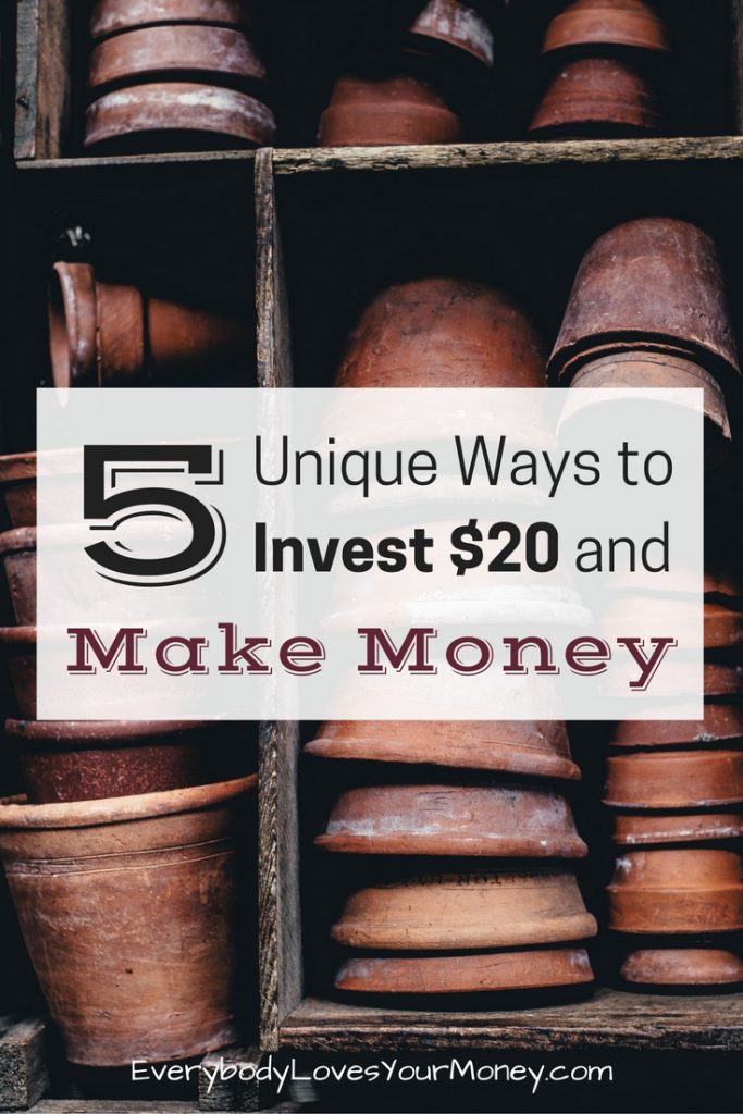 5 Unique Ways to Invest $20 and Make Money - Everybody ...