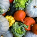 An assortment of fall gourds