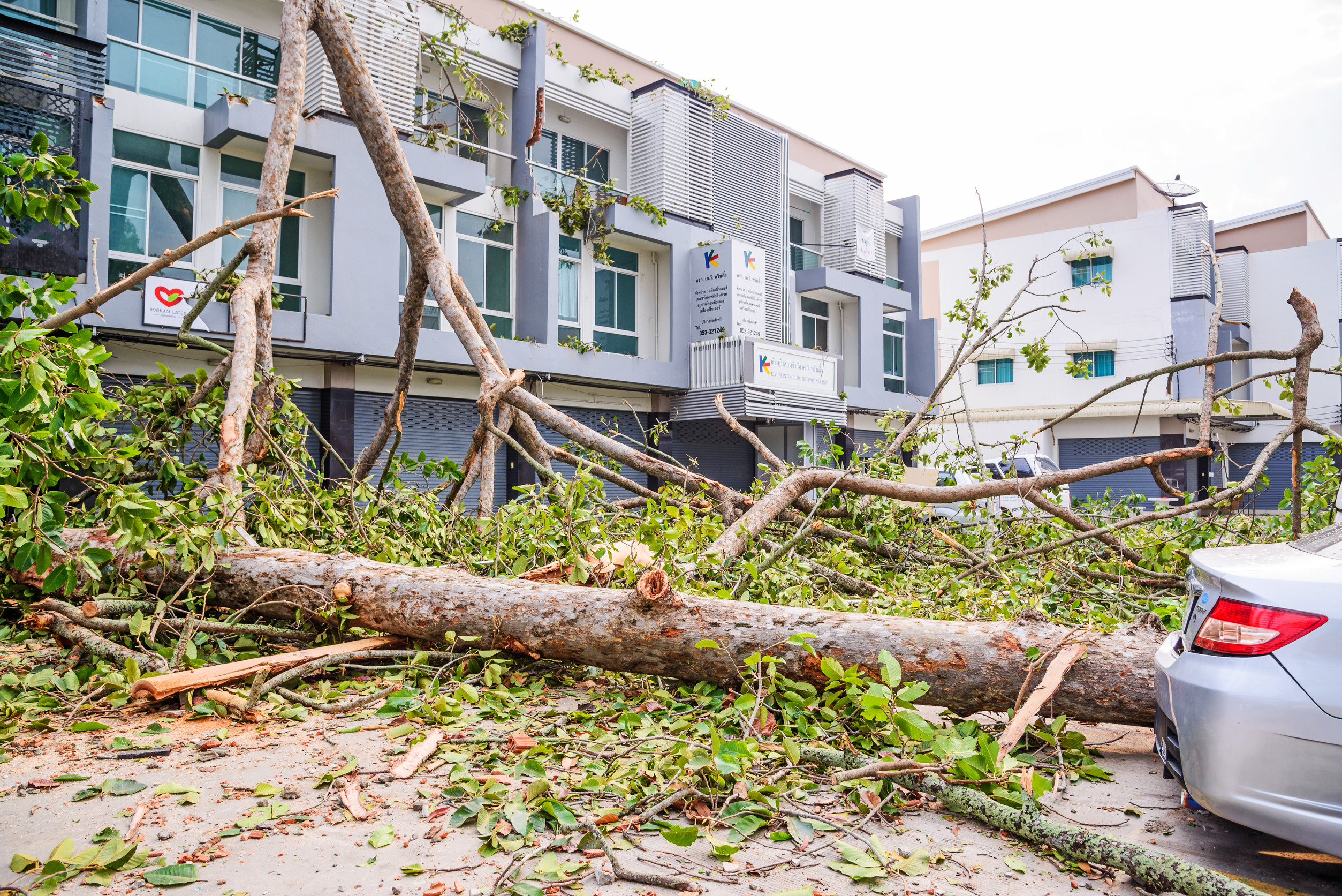 home ready for a natural disaster